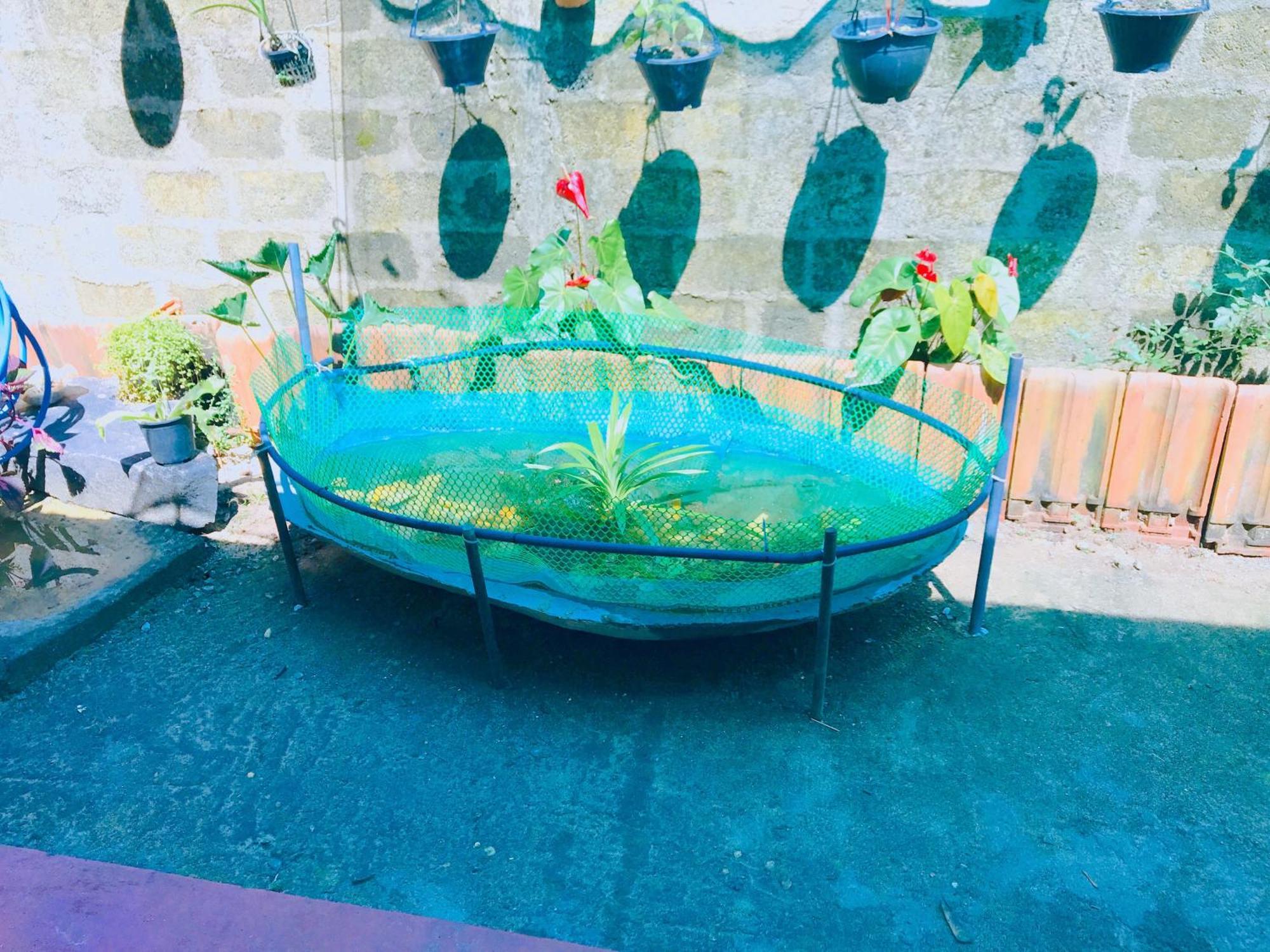 Khongaha *